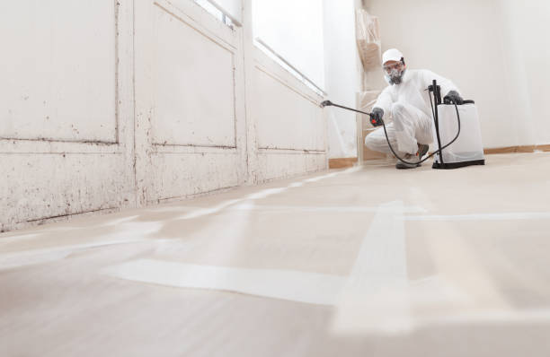 24/7 Emergency Black Mold Remediation experts in Union City, MI