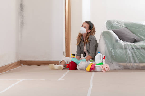 Reliable Black Mold Remediation contractor in Union City, MI by Car Mold Remediation